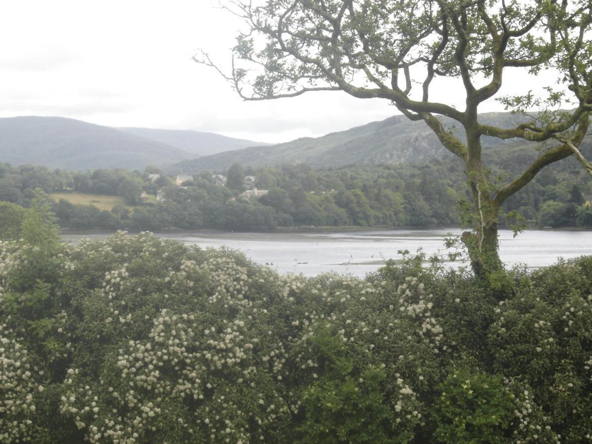 Abbeycourt Kerry *